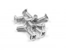 XRAY 910256 Screw Phillips FH M2.5x6  (10)